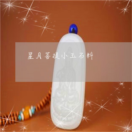 星月菩提小玉石料/2023051824761