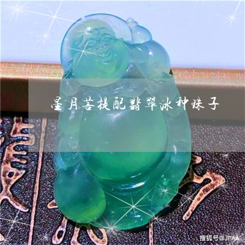 星月菩提配翡翠冰种珠子/2023100642900