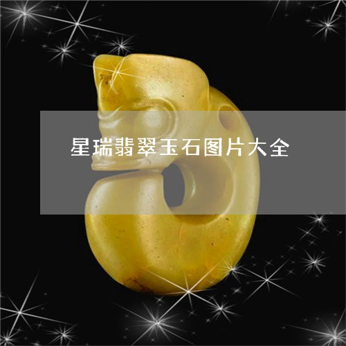 星瑞翡翠玉石图片大全/2023110810150