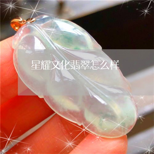 星耀文化翡翠怎么样/2023110281086