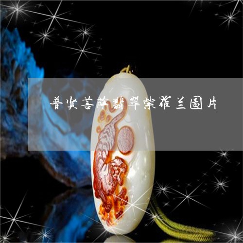 普贤菩萨翡翠紫罗兰图片/2023092720241