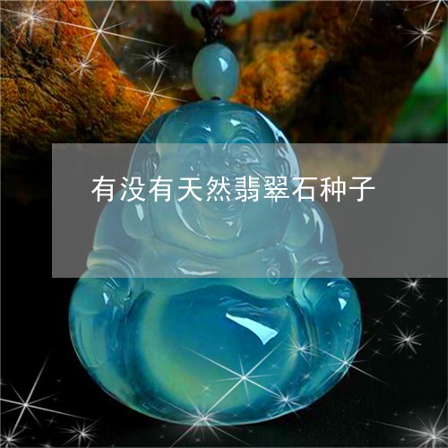 有没有天然翡翠石种子/2023082407408