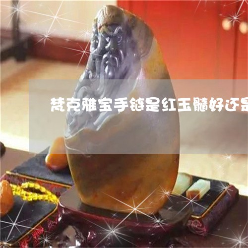 梵克雅宝手链是红玉髓好还是白贝壳好/2023080371779