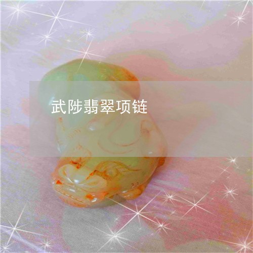 武陟翡翠项链/2023080482366