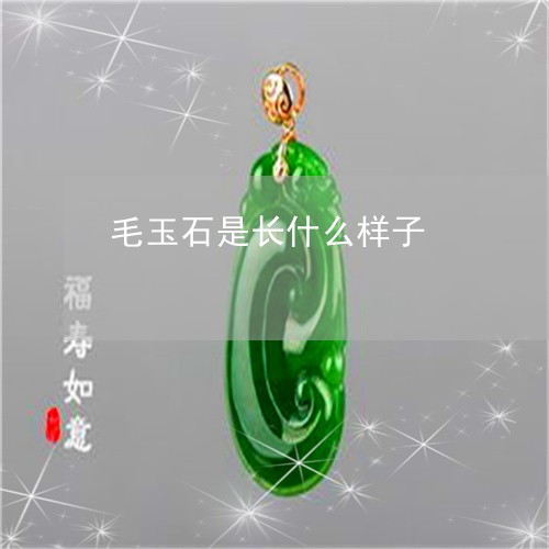 毛玉石是长什么样子/2023110181153