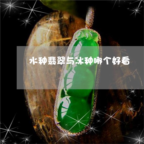 水种翡翠与冰种哪个好看/2023100647945