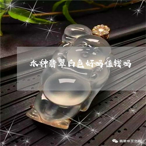 水种翡翠白色好吗值钱吗/2023082627416