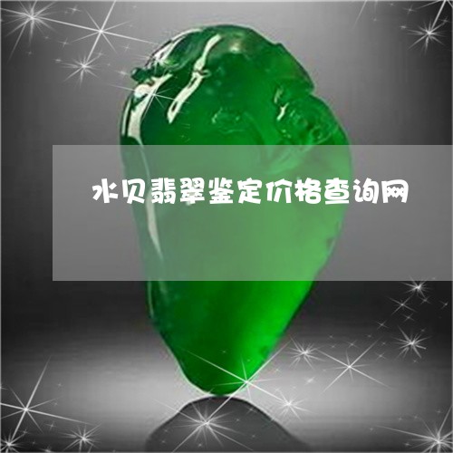 水贝翡翠鉴定价格查询网/2023100718768