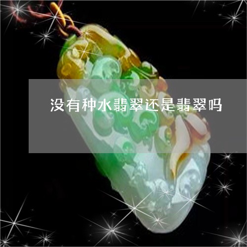 没有种水翡翠还是翡翠吗/2023100783703