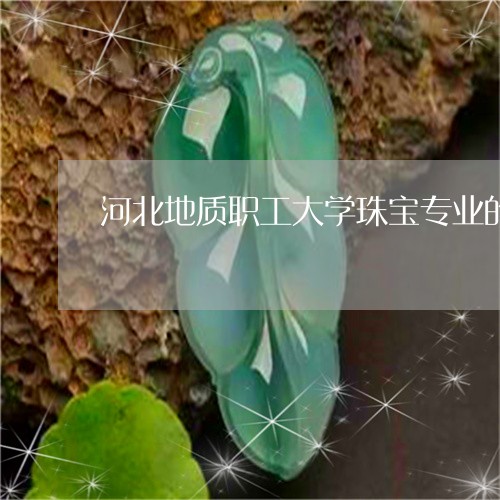 河北地质职工大学珠宝专业的就业方向是/2023080342809