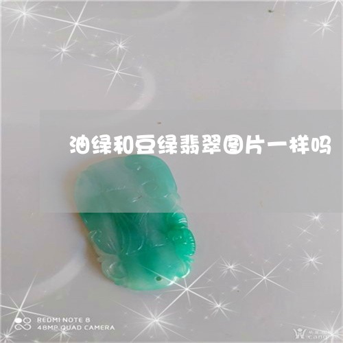 油绿和豆绿翡翠图片一样吗/2023092831219