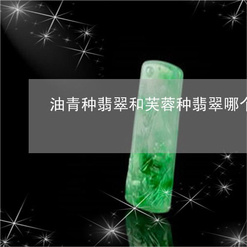 油青种翡翠和芙蓉种翡翠哪个好/2023101731186