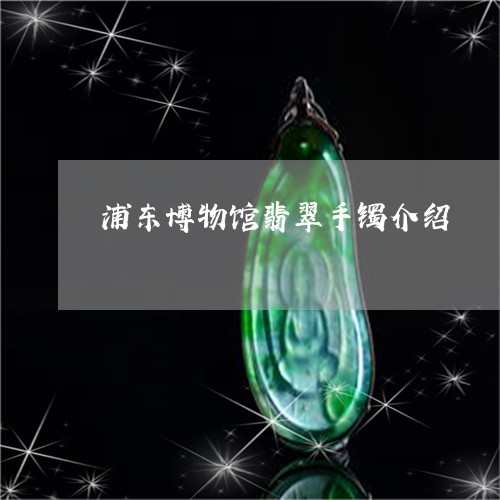 浦东博物馆翡翠手镯介绍/2023082576196