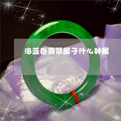 海蓝色翡翠属于什么种属/2023102684949