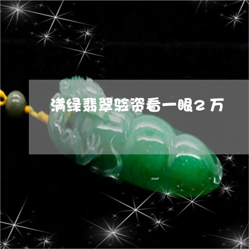 满绿翡翠验资看一眼2万/2023100506142