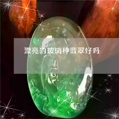 漂亮的玻璃种翡翠好吗/2023082447513