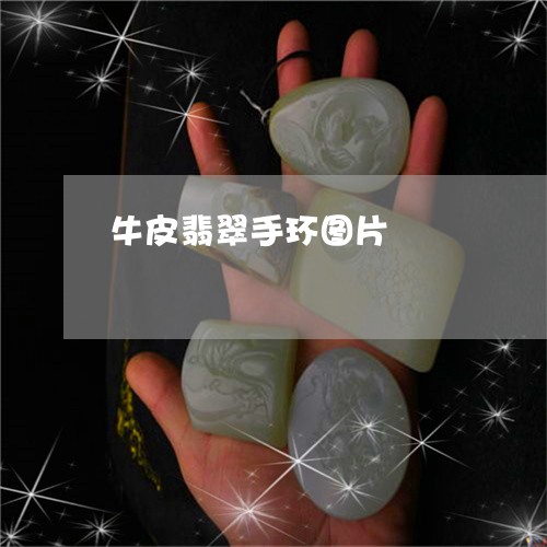 牛皮翡翠手环图片/2023080556978