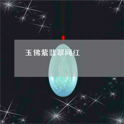 玉佛紫翡翠网红/2023110711734