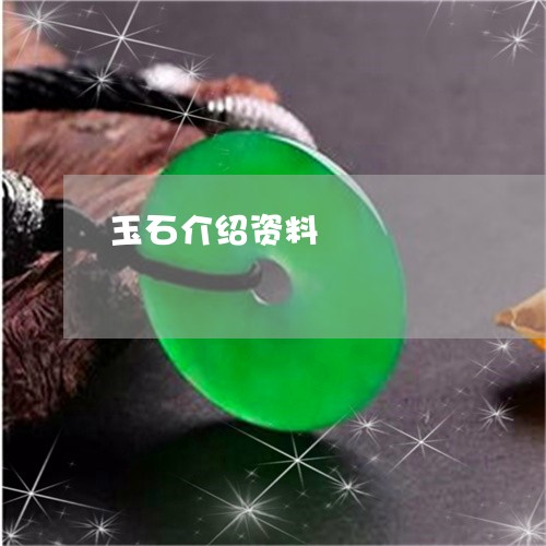 玉石介绍资料/2023110620625