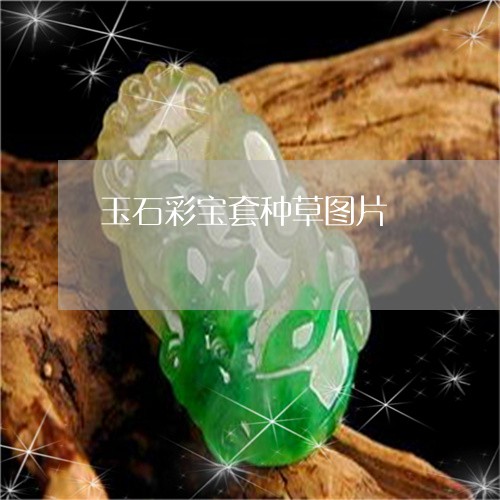 玉石彩宝套种草图片/2023110157689