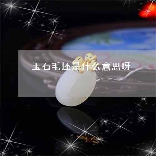 玉石毛坯是什么意思呀/2023082501231