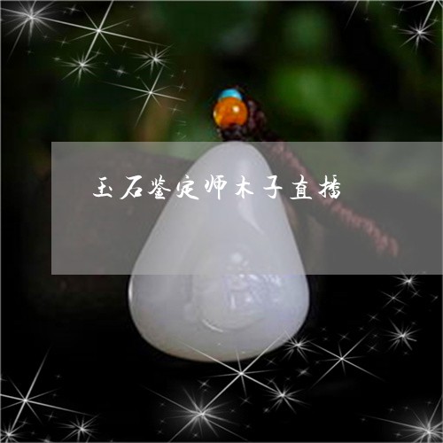 玉石鉴定师木子直播/2023110130864