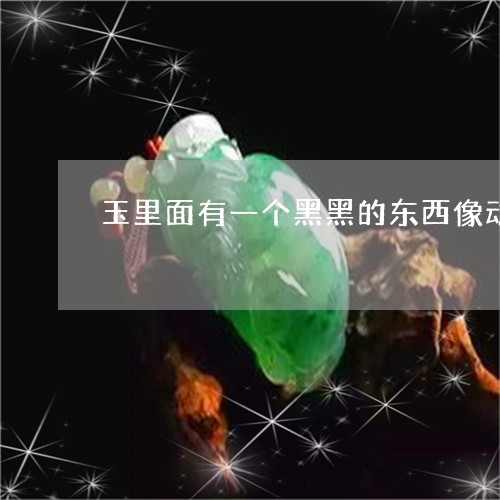 玉里面有一个黑黑的东西像动物是什么东西/2023080315876