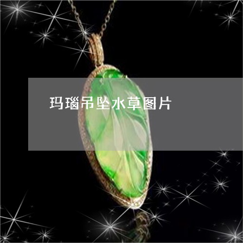 玛瑙吊坠水草图片/2023092746395