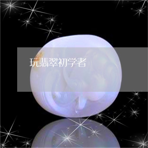 玩翡翠初学者/2023110687658