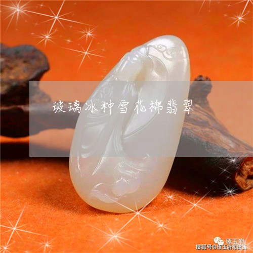 玻璃冰种雪花棉翡翠/2023110730927