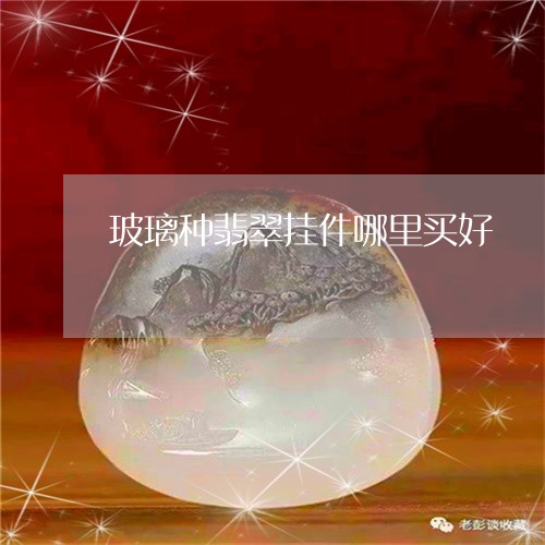 玻璃种翡翠挂件哪里买好/2023100646846