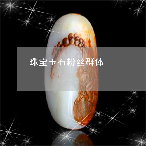 珠宝玉石粉丝群体/2023101852142