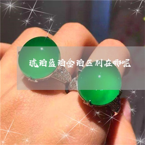 琥珀蓝珀金珀区别在哪呢/2023100693172