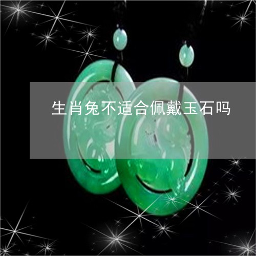 生肖兔不适合佩戴玉石吗/2023092746967