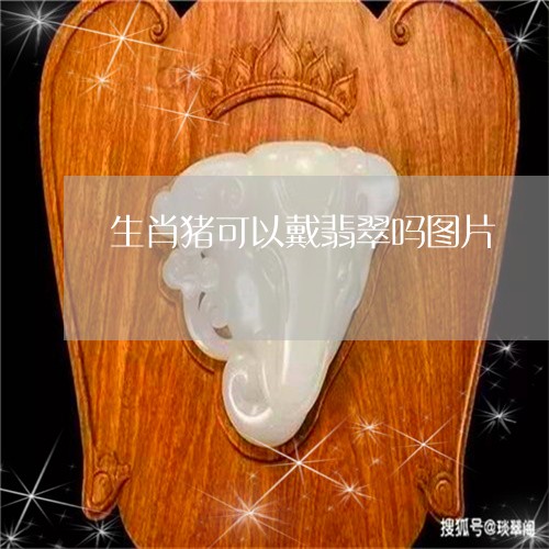 生肖猪可以戴翡翠吗图片/2023102510002