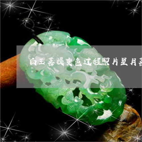 白玉菩提变色过程照片星月菩提是越大越好/2023080426835