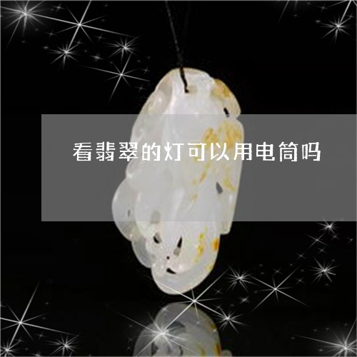 看翡翠的灯可以用电筒吗/2023100786807