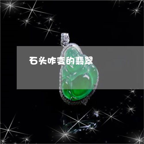 石头咋变的翡翠/2023051808040