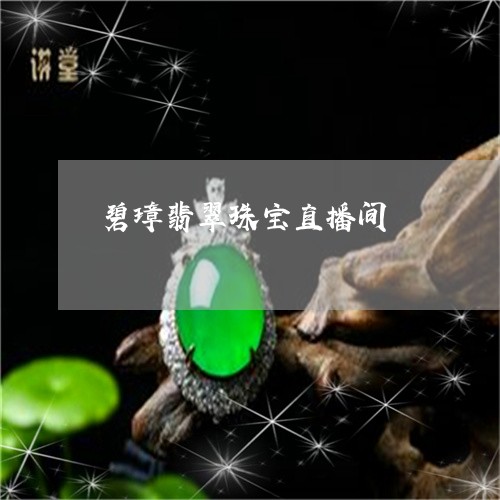 碧璋翡翠珠宝直播间/2023110193470