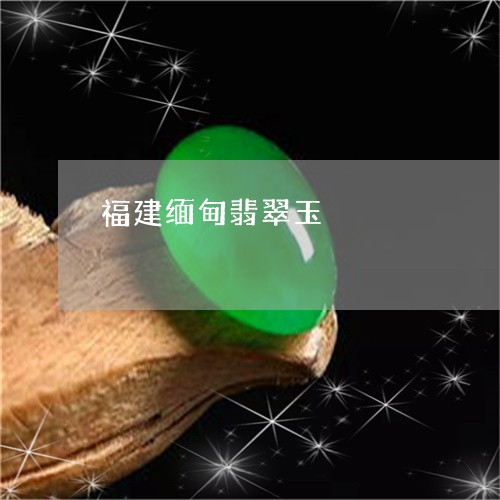 福建缅甸翡翠玉/2023051892118