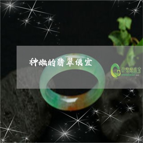 种嫩的翡翠便宜/2023051838205