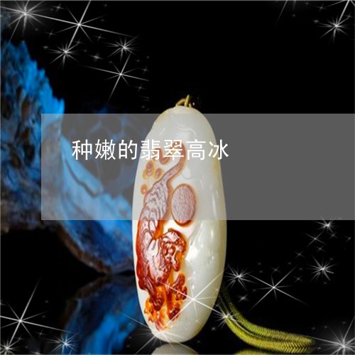 种嫩的翡翠高冰/2023051831733