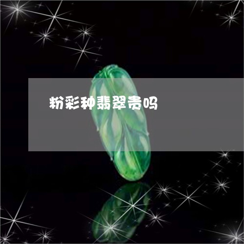 粉彩种翡翠贵吗/2023051847397