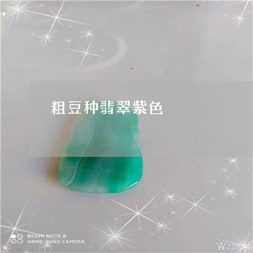 粗豆种翡翠紫色/2023051879888