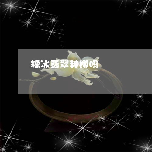 糯冰翡翠种嫩吗/2023051842529