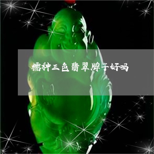 糯种三色翡翠牌子好吗/2023082490761