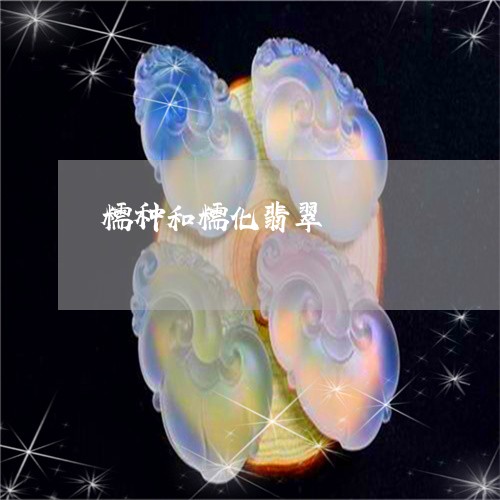 糯种和糯化翡翠/2023051858486