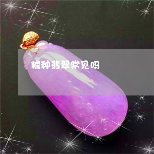 糯种翡翠常见吗/2023051823055