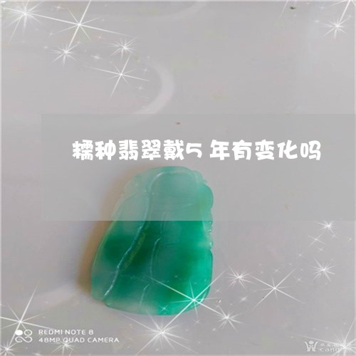 糯种翡翠戴5年有变化吗/2023100732723