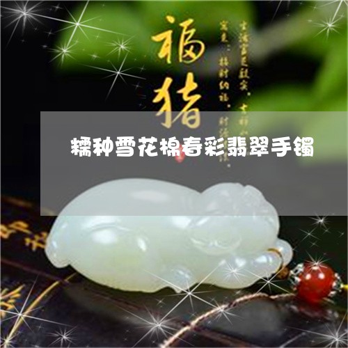 糯种雪花棉春彩翡翠手镯/2023102578538